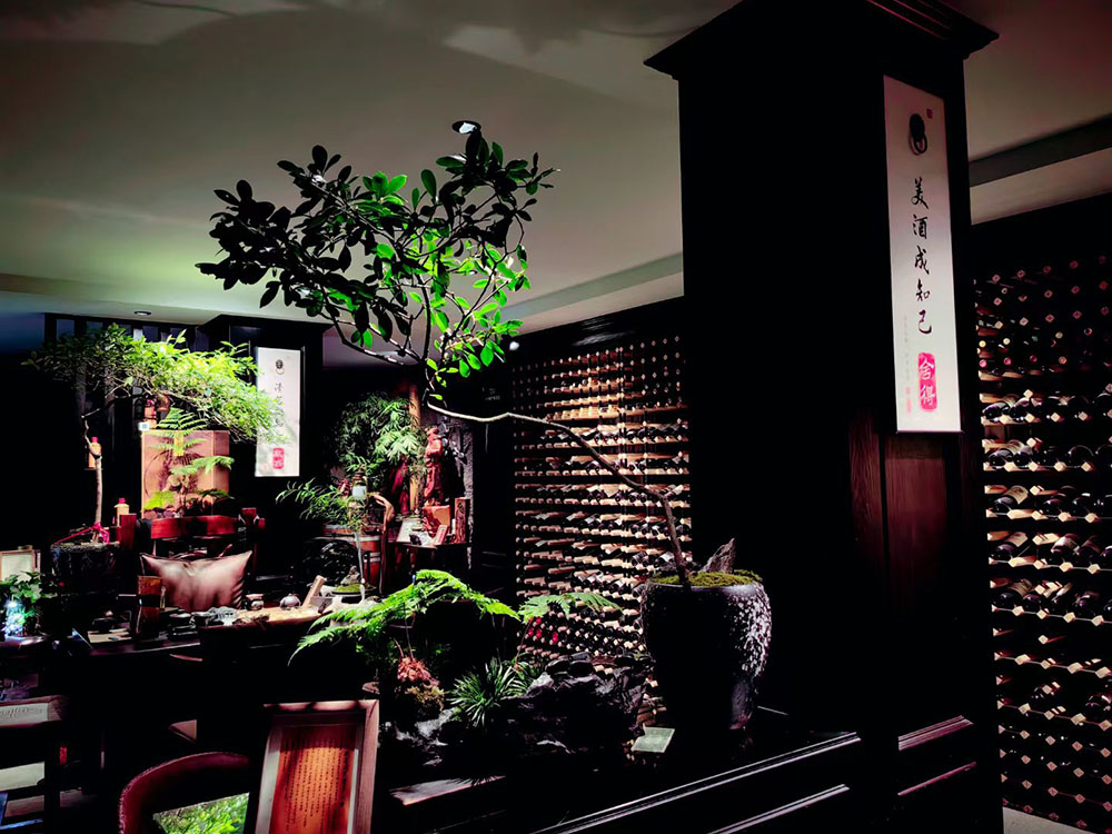 以匠心，敬岁月！唐会酱酒，好“酒”相见唐会国际贸易湖北有限公司(图7)